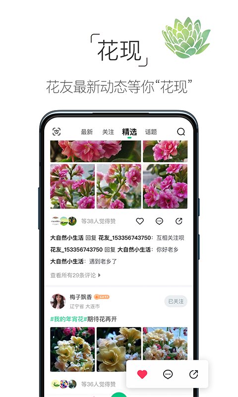 养花大全下载app免费版本