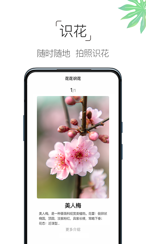 养花大全下载app最新版